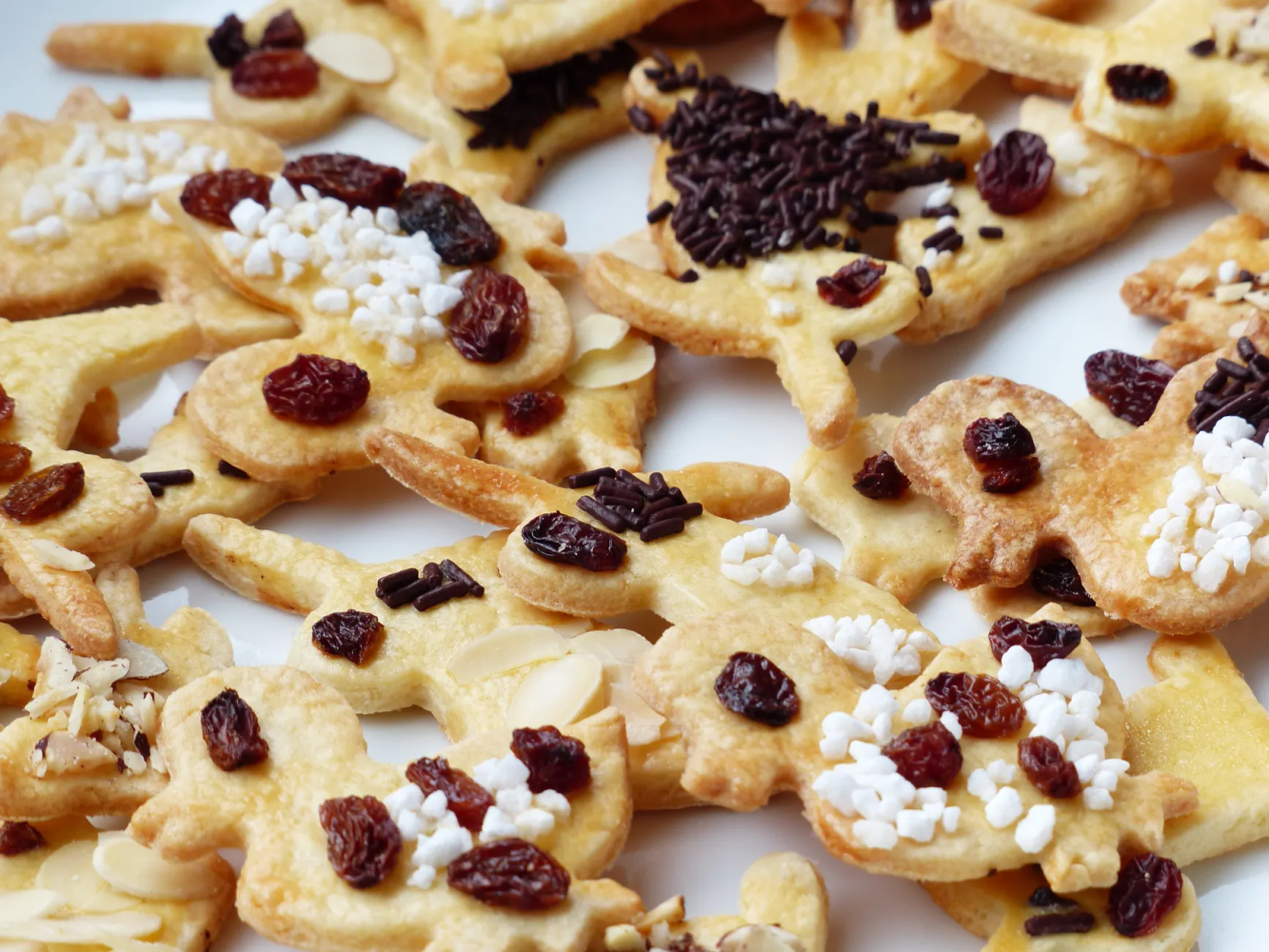 Holiday Dog Treats
