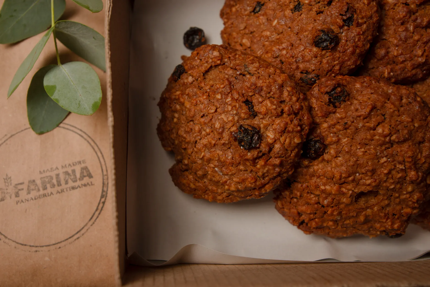 Pumpkin Oatmeal Pup Cookies