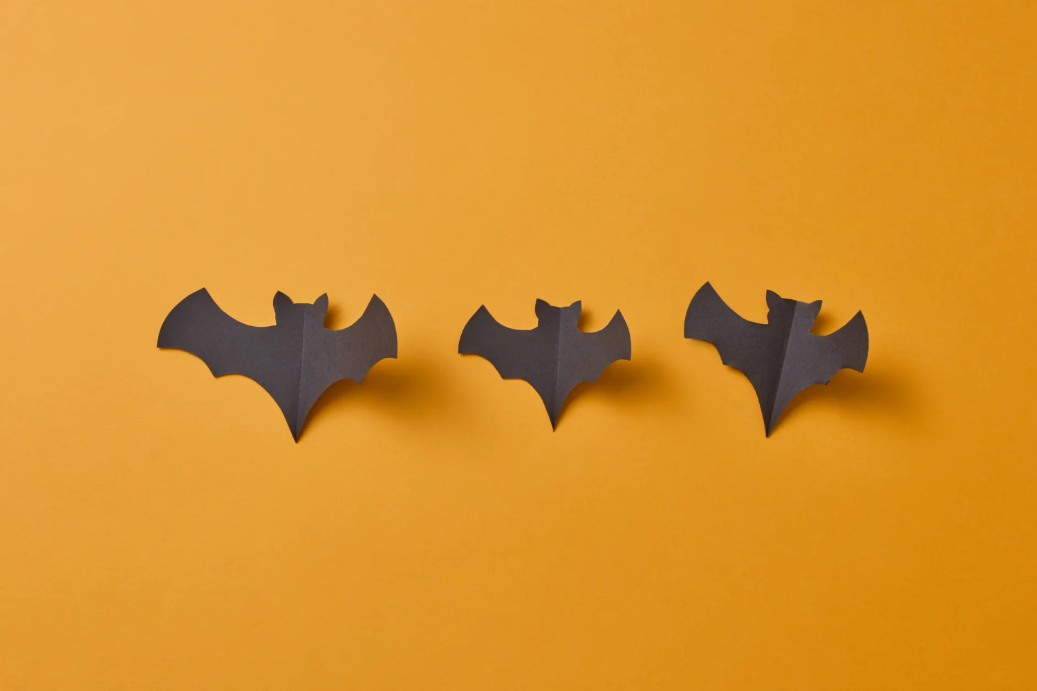 Flying Bat Door Decals