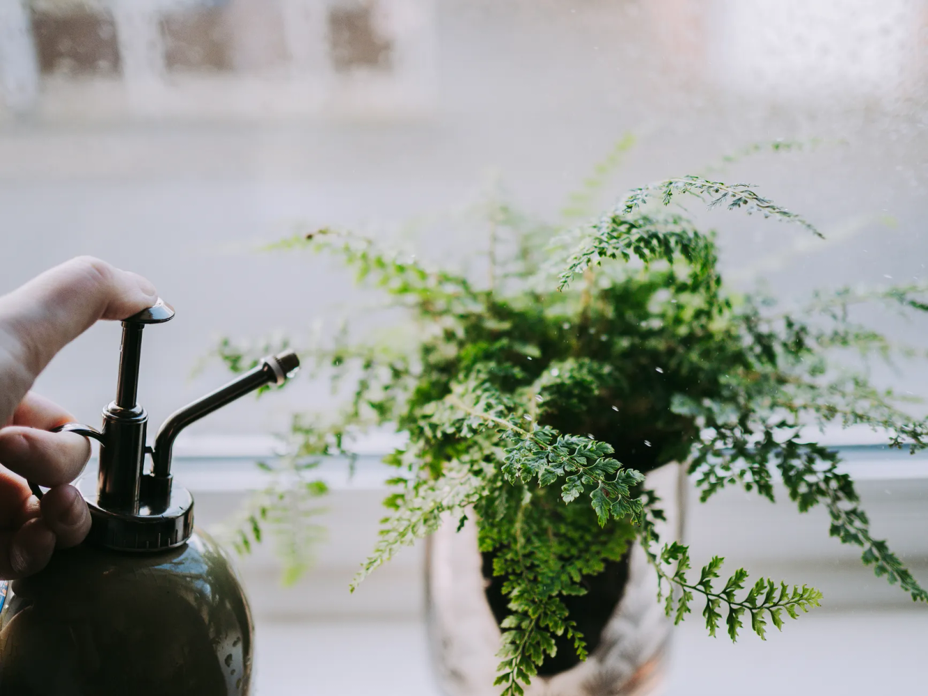 Potted Skeleton Hands in Ferns