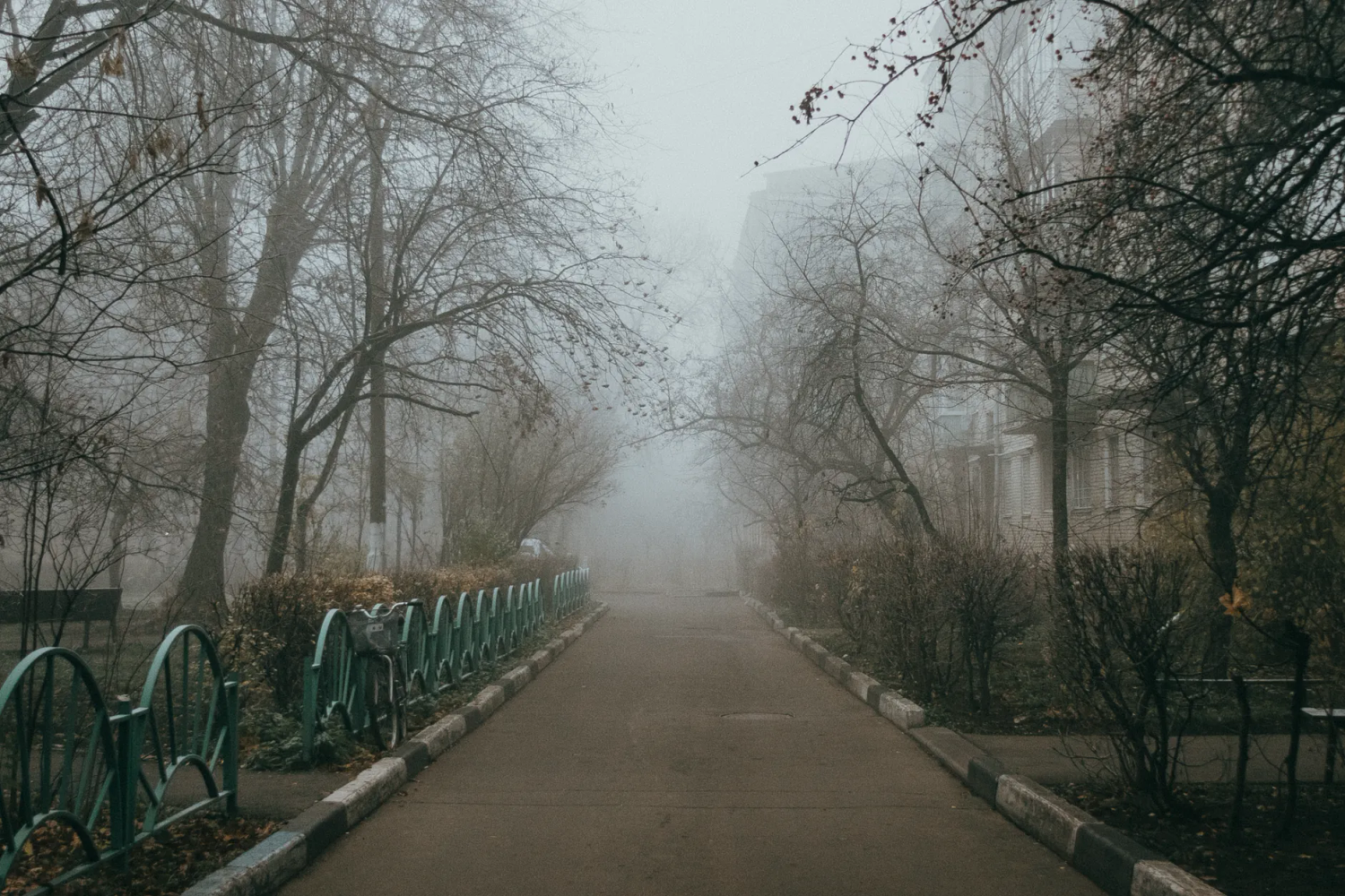 Spooky Fog Machine Pathway